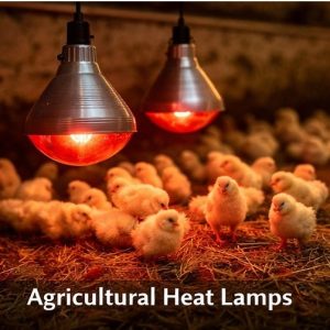 Agricultural Heat Lamps